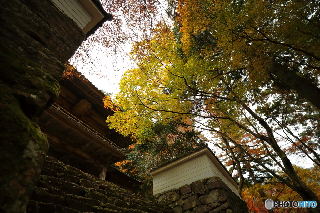 '16 秋の高源寺 （3/6）