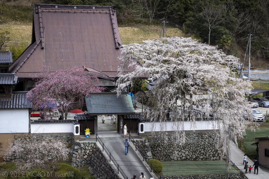 初・俯瞰光福寺