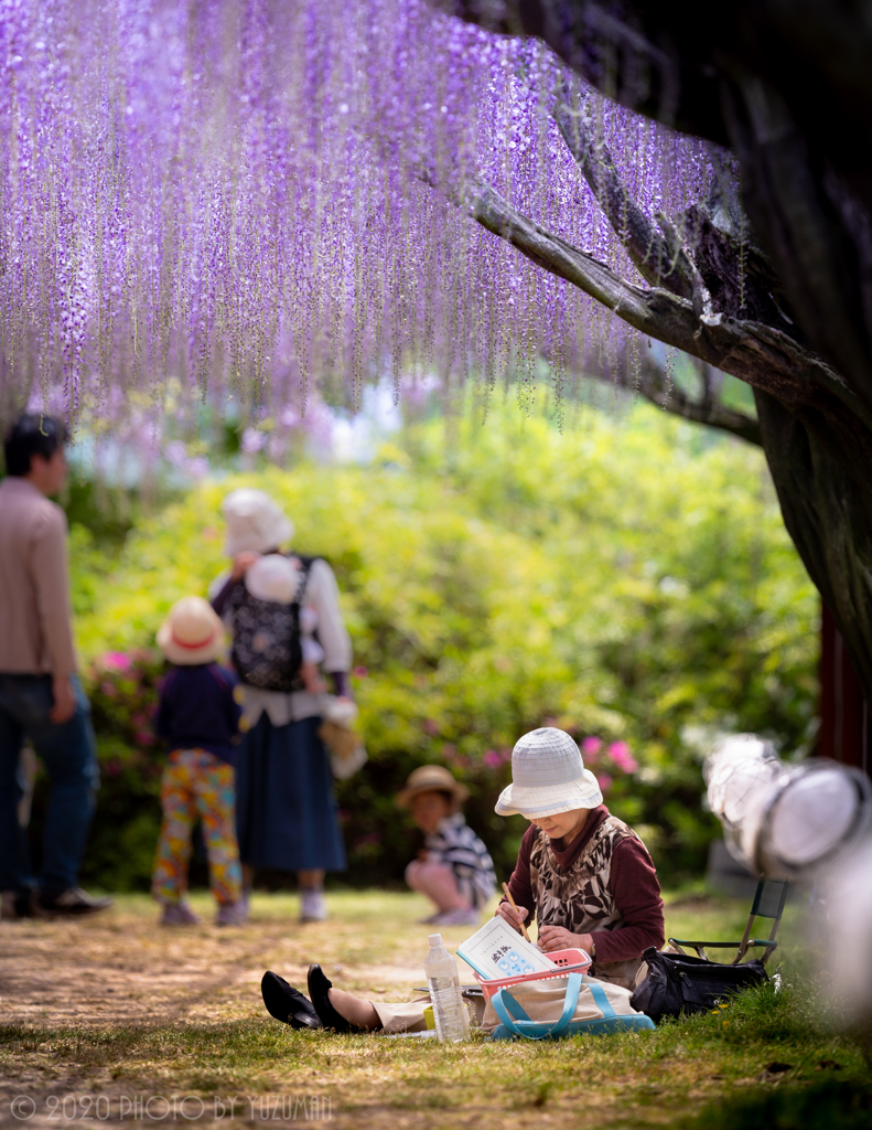 ほのぼの