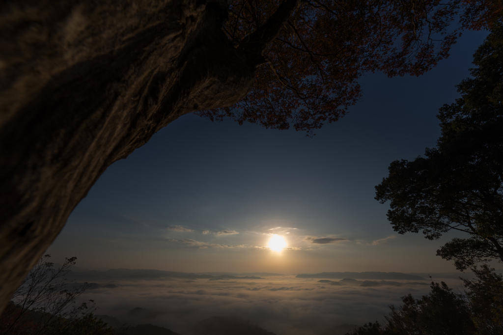 紅葉と雲海