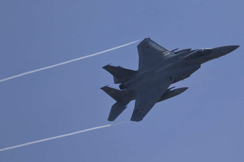 2015 美保基地 航空祭(6/50)