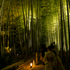 京都ぶらり旅－夜の部－（5/24）