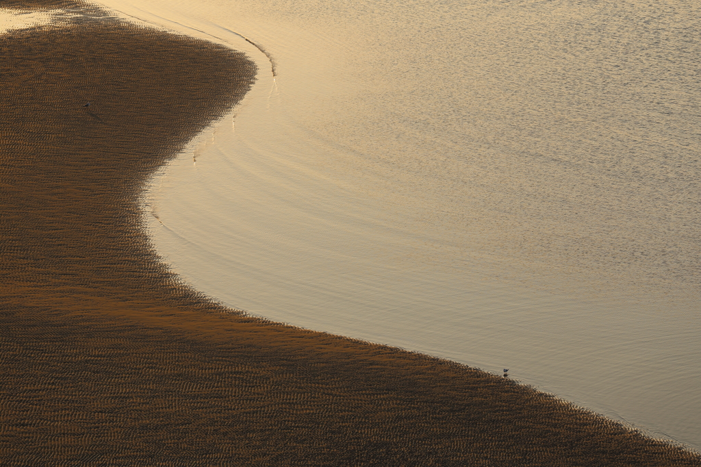 干潟の夜明け（8/9）