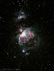 庭で望むオリオン大星雲(15s x14枚)