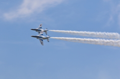 2015 美保基地 航空祭(24/51)