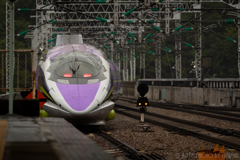 500 TYPE EVA PROJECT Last run（4/4）