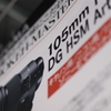 BOKEH-MASTER