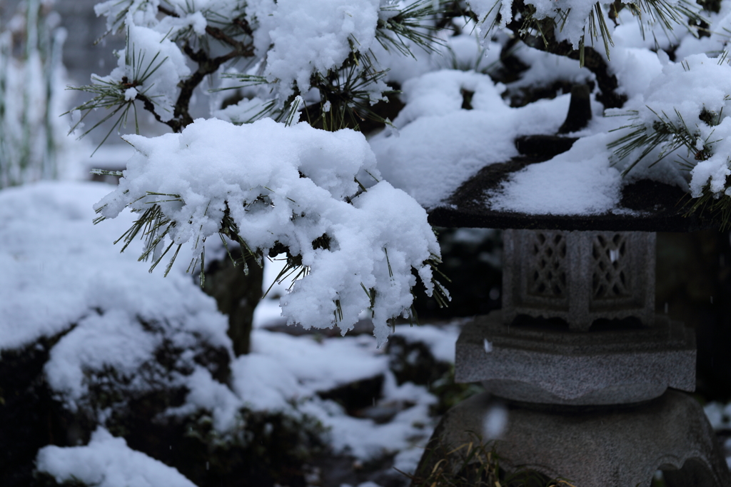 雪と灯篭
