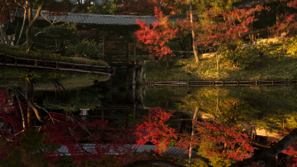 水の中の紅葉