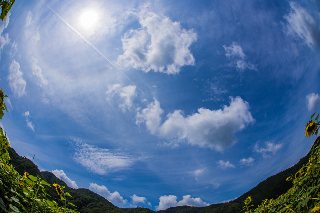 ま～るい空