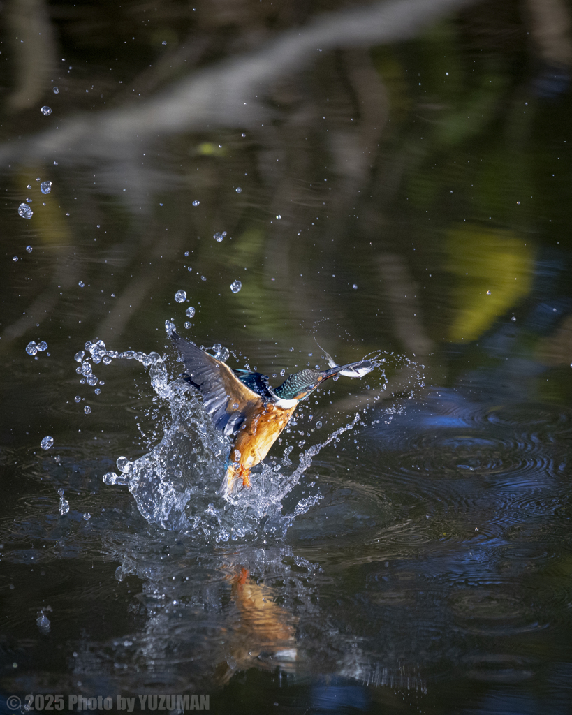 白目飛び出し！