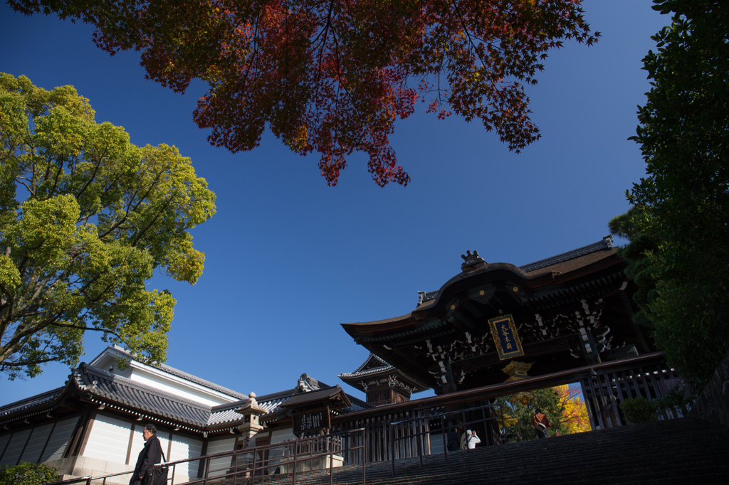 京都紅葉めぐり（6/50）