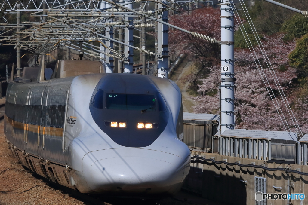 SAKURA　RailStar