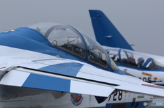 美保基地 航空祭2016（20/43）