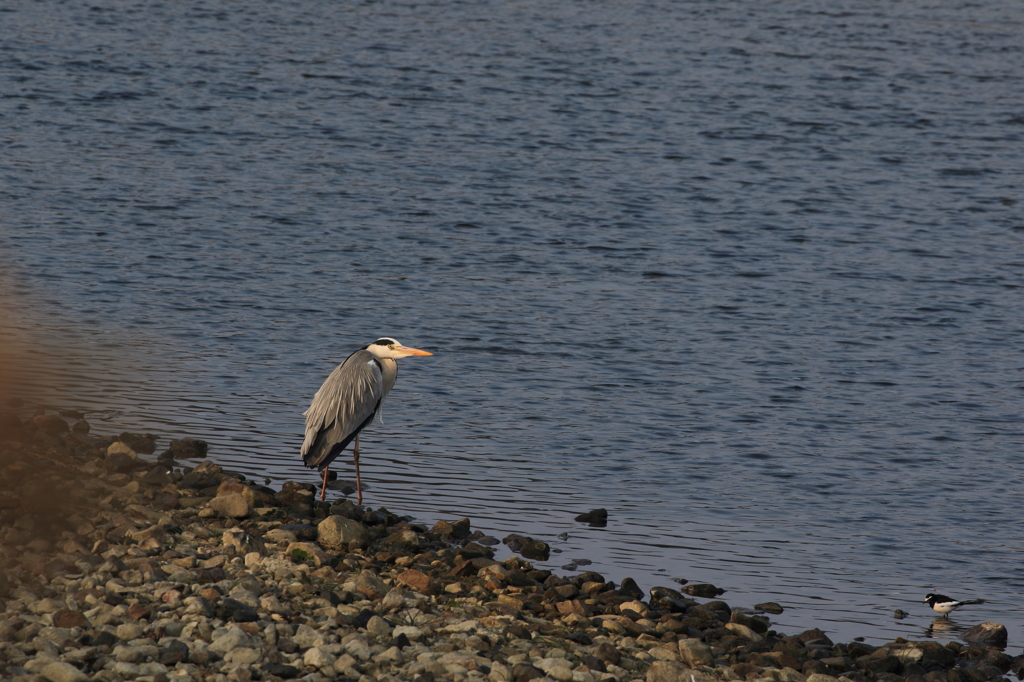 今日の朝練(1/2)