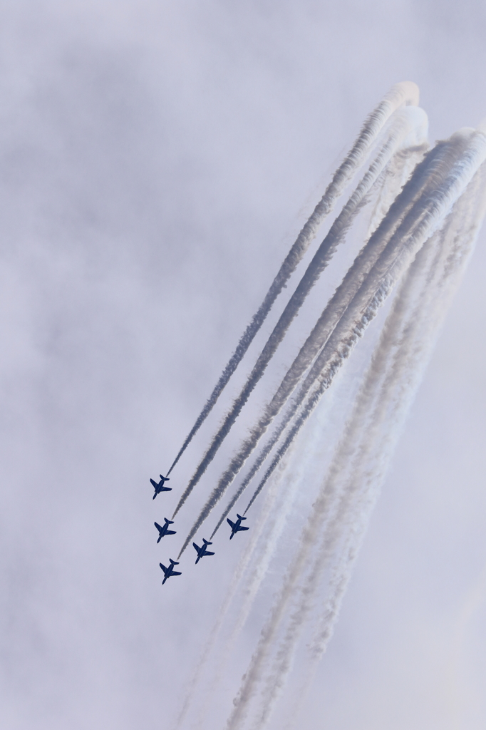 2015 美保基地 航空祭(42/50)