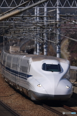 桜咲く聖地（1/13）