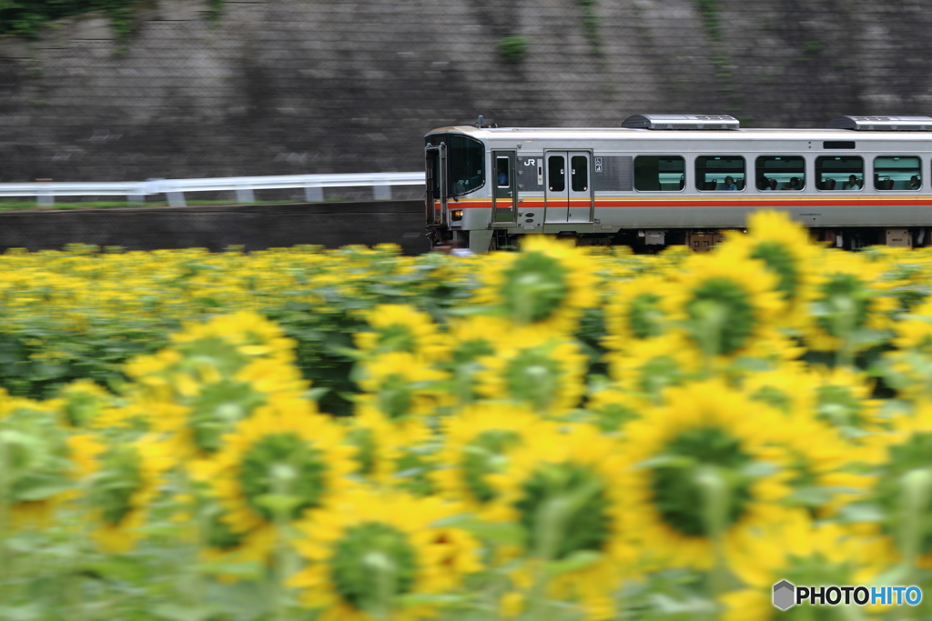 駆け抜ける夏