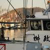 室津港の大漁旗