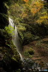 紅葉と飛龍の滝 (2/2)