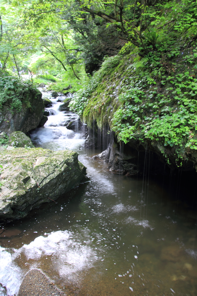 玉だれの滝