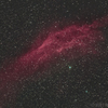 （仮）フォルニア星雲