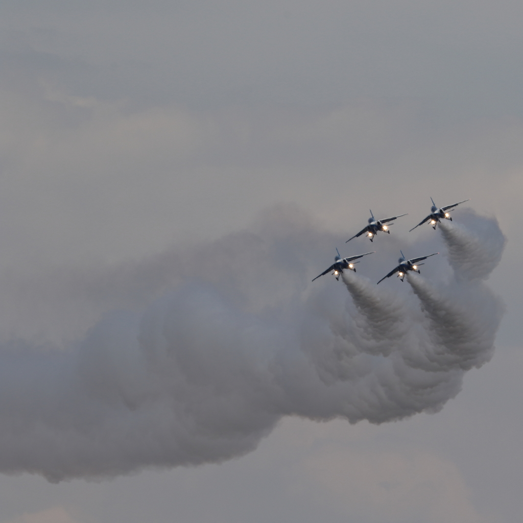 2015 美保基地 航空祭(13/50)