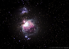 庭で望むオリオン大星雲(30s x24枚)＜改＞