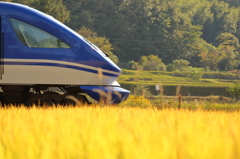 黄金の稲穂と山陽本線の列車 (3/4)