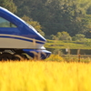 黄金の稲穂と山陽本線の列車 (3/4)