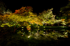 京都ぶらり旅－夜の部－（8/24）