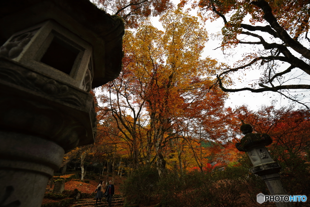 '16 秋の高源寺 （2/6）