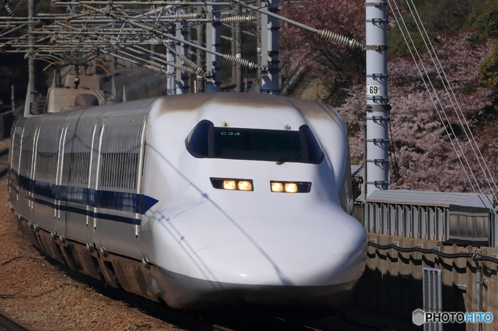 SAKURA 700系(C34)