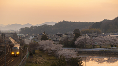 桜咲く入学式の朝