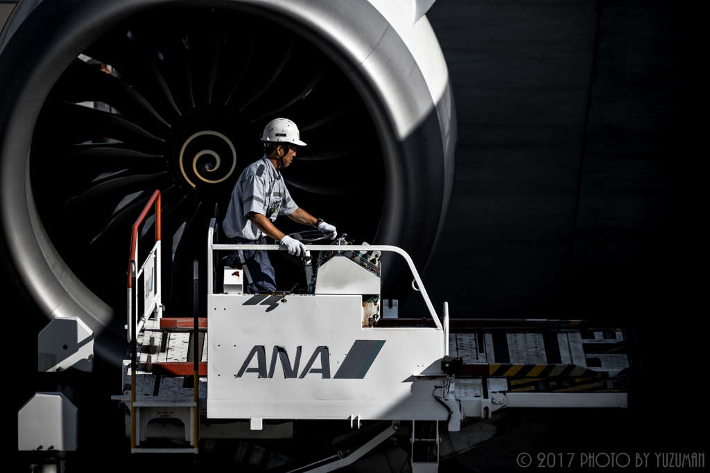 ANAたのANA