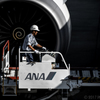 ANAたのANA