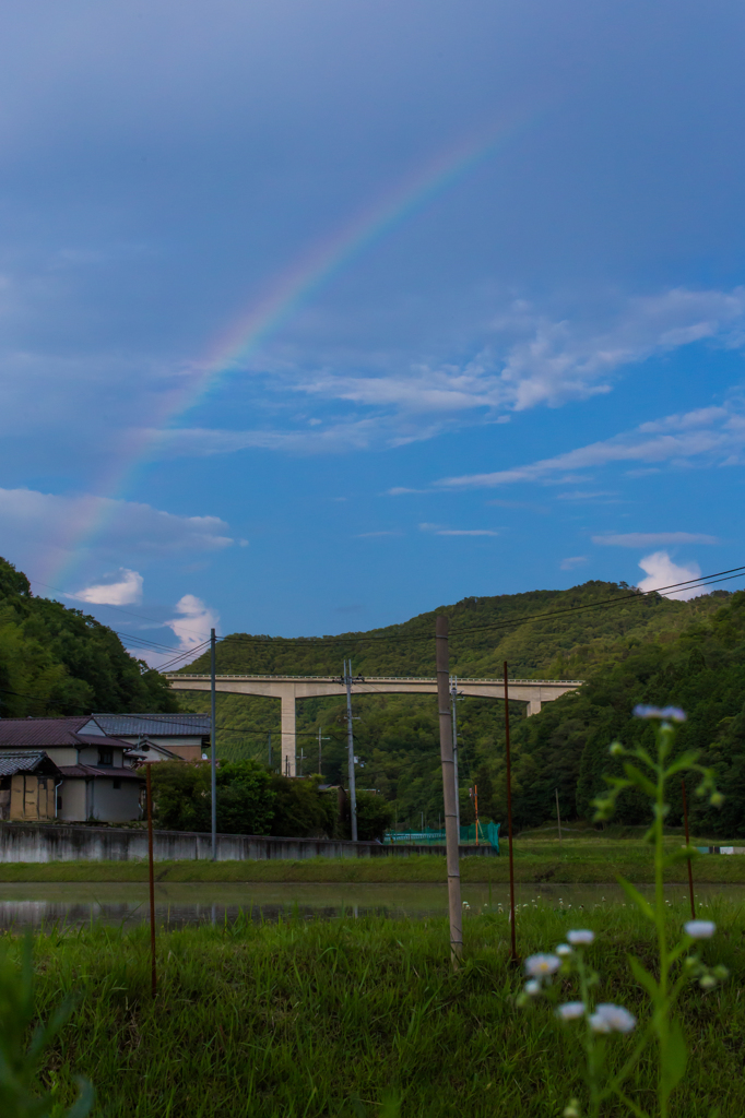 2つの架け橋