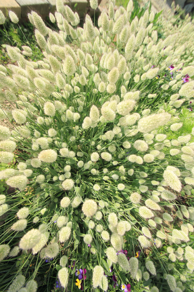 迫りくるミサイル