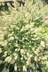 迫りくるミサイル