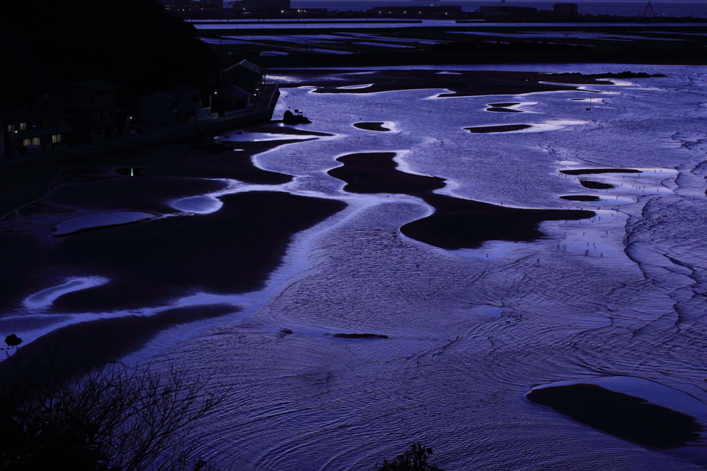 新大陸