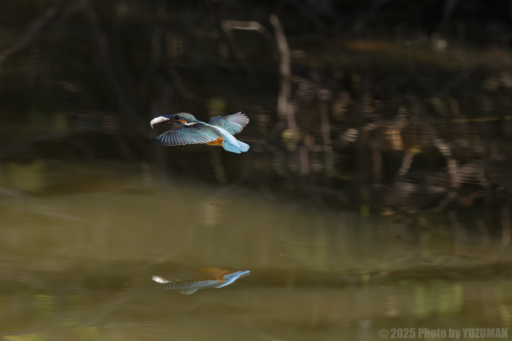 はい、さいなら～