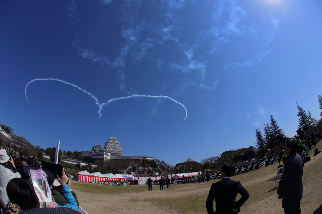 ブルーインパルス祝賀飛行(11/12)