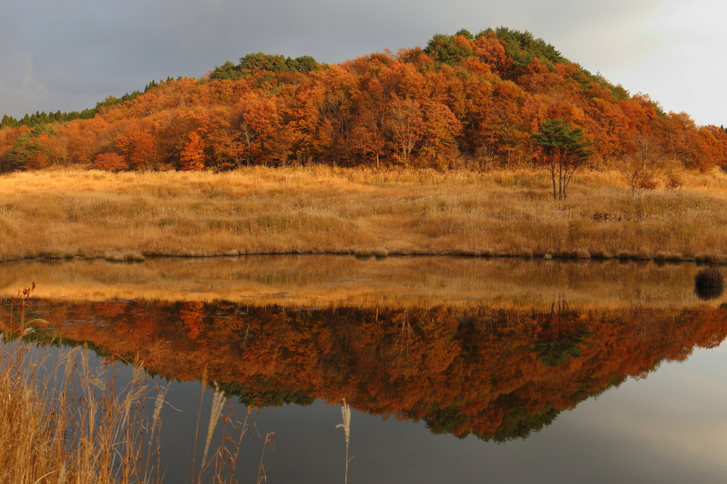 池の中の紅葉
