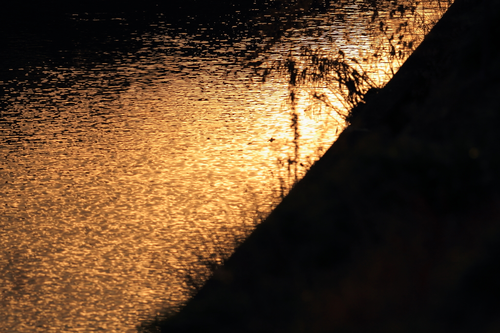 ”青の衝撃”を捉えることは出来るのだろうか・・・