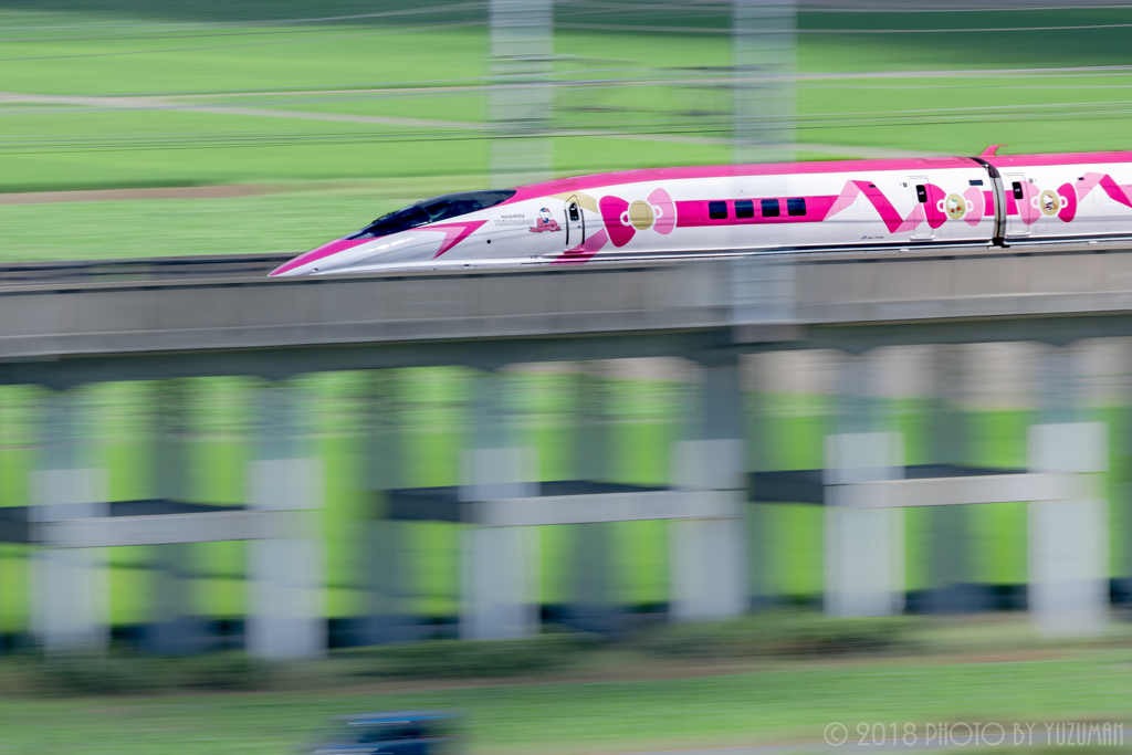 デッドヒート！！