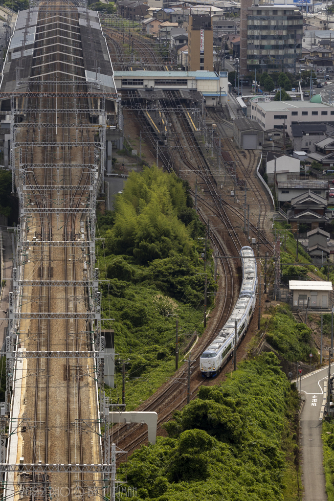 偶然のハローキティはるか