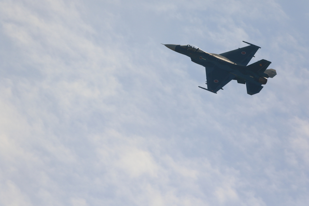 2015 美保基地 航空祭(8/50)