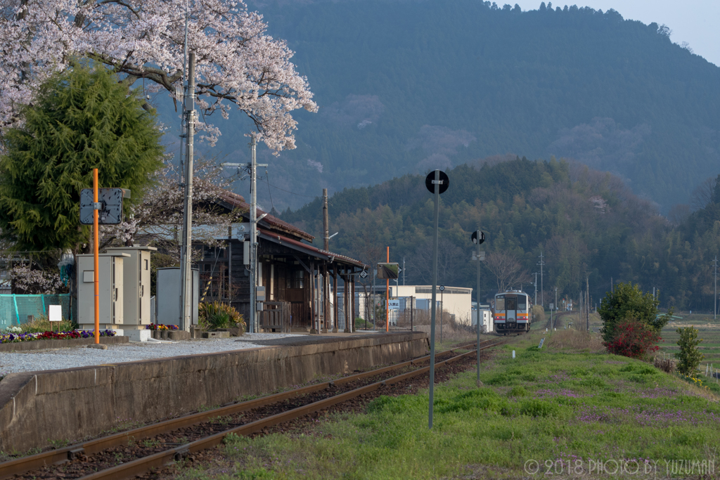 桜咲く美作滝尾駅