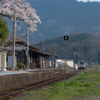 桜咲く美作滝尾駅