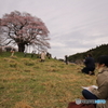 芸術家たち